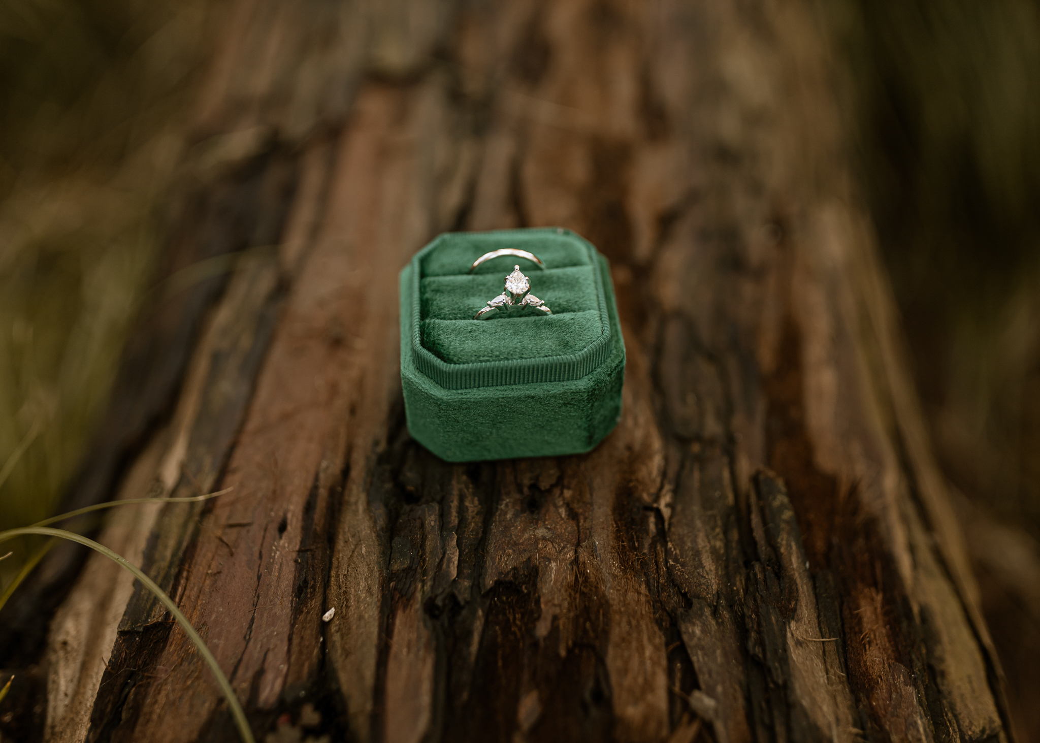 green ring box with diamond wedding ring on redwood tree log